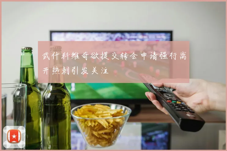 武什科维奇欲提交转会申请强行离开热刺引发关注